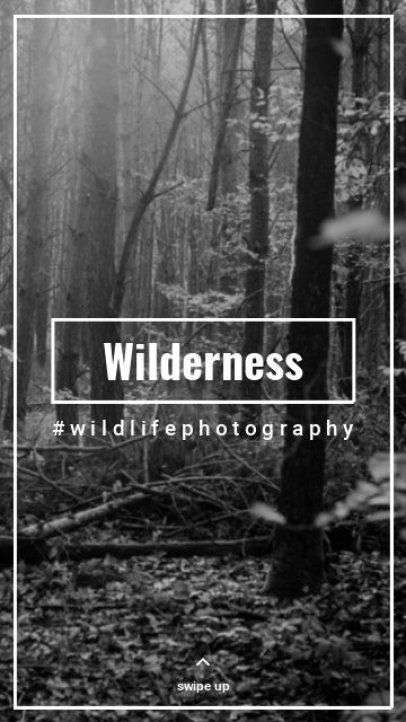 Instagram Story Video Maker for a Wild Life Photographer 4032-el1