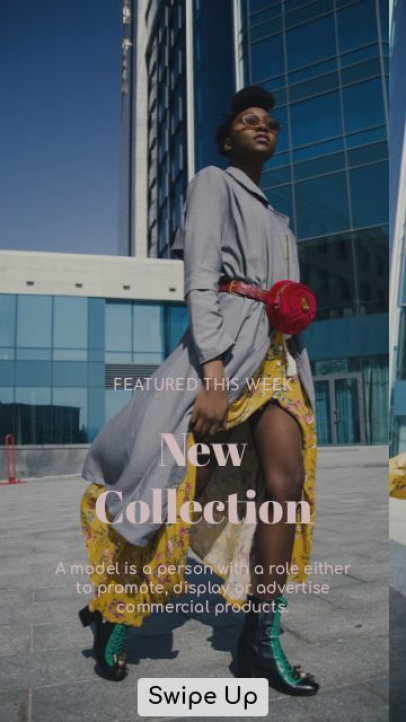 Fashion-Themed Instagram Story Video Maker to Announce a Clothing Collection 3912-el1