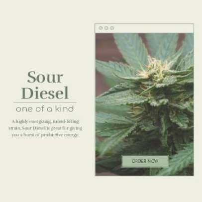 Instagram Post Video Creator for a Cannabis Dispensary Featuring a Minimal Layout 4697