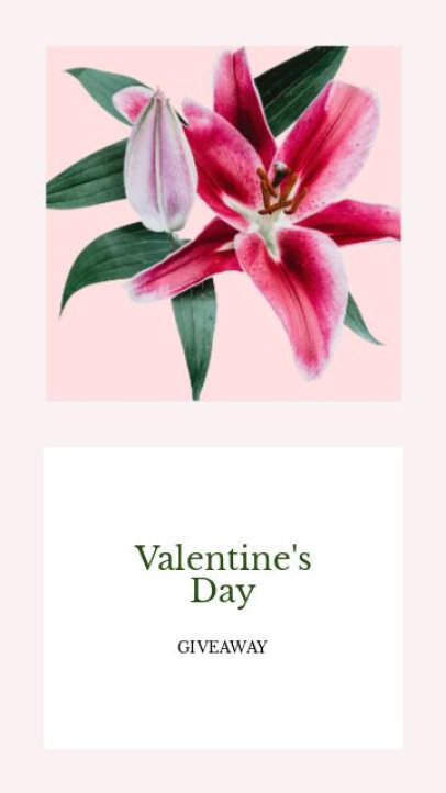Instagram Story Video Creator to Promote a Valentine's Day Giveaway