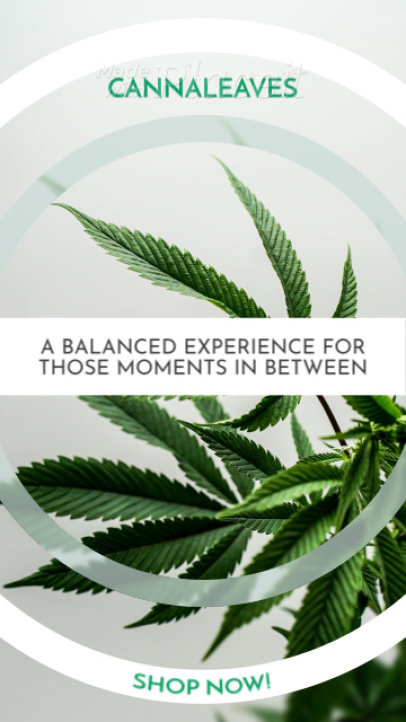 Instagram Story Video Generator for a Cannabis Store Ad 