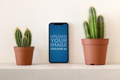 Mockup of an iPhone 13 Placed Next to Some Cacti