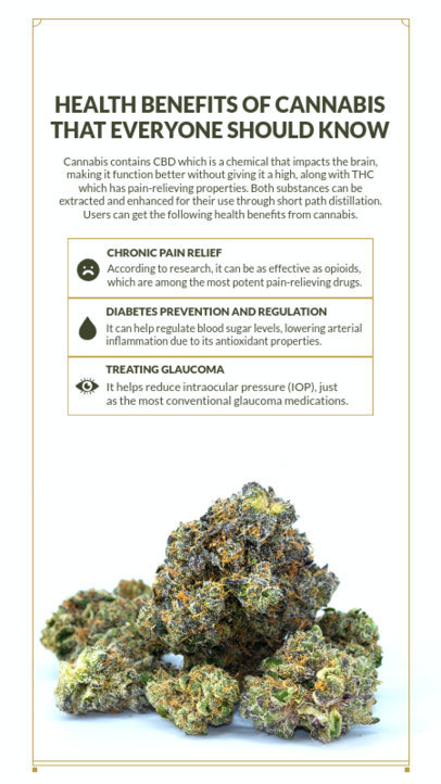 Instagram Story Design Template for a Cannabis-Themed Infographic