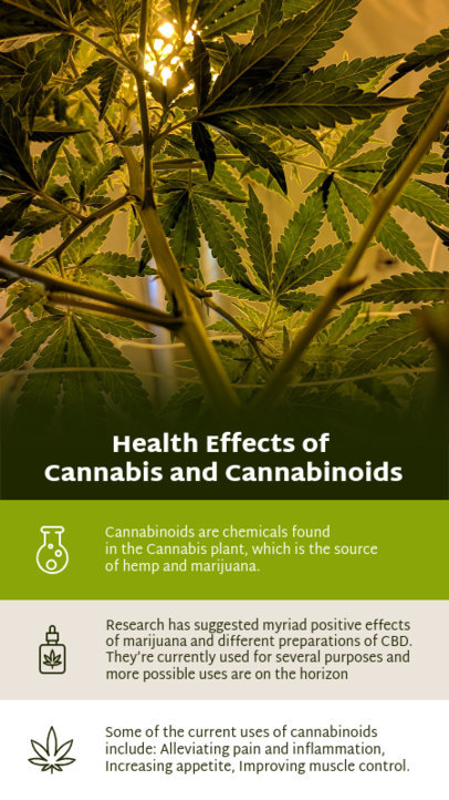 Instagram Story Maker With Info About the Health Effects of Marijuana