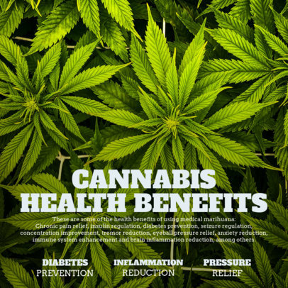 Instagram Post Template Featuring Marijuana Plants Pictures and a Medical Cannabis Theme