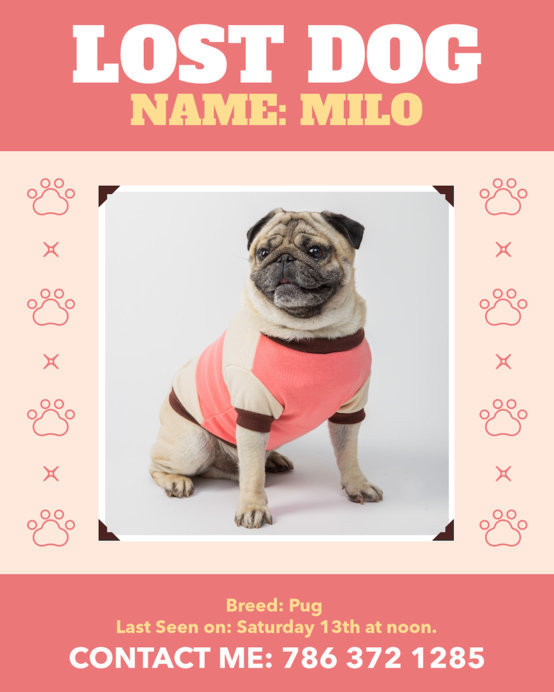 Instagram Post Template Featuring Pet Adoption and Rescue Pictures