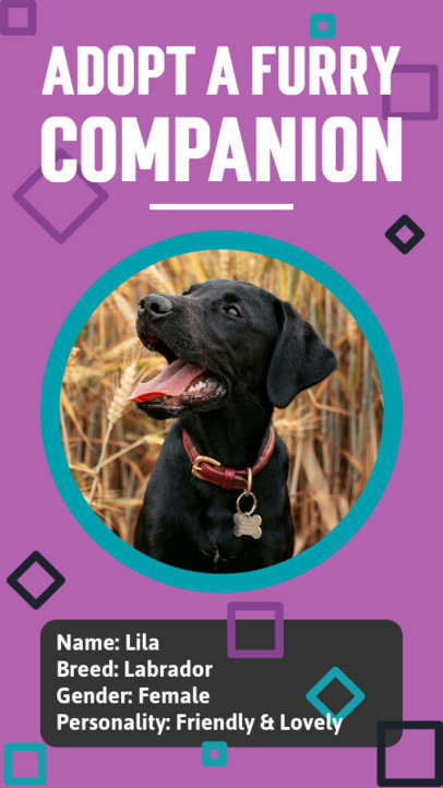 Instagram Story Design Template with a Pet Adoption Theme and a Dog Picture