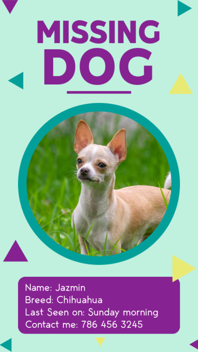 Instagram Story Maker Featuring a Lost Dog Picture