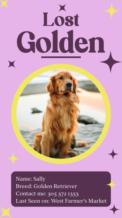 Instagram Story Template with a Lost Pet Sign Layout