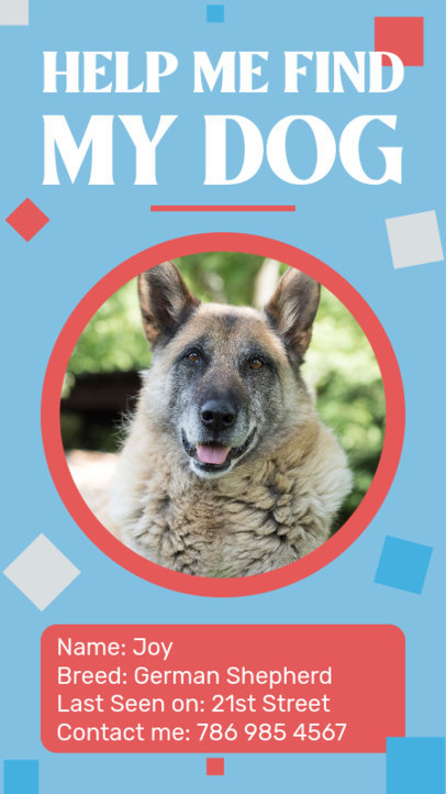 Instagram Story Creator with a Lost Pet Theme Featuring a Dog Picture