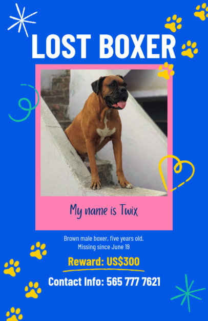 Missing Pet Flyer Template Featuring a Dog Picture and Colorful Doodles