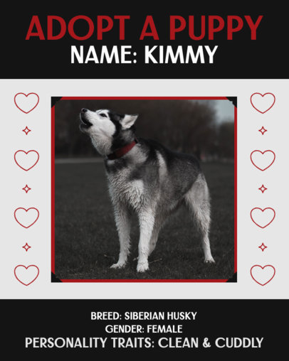 Instagram Post Creator Featuring a Street Dog Adoption Promo