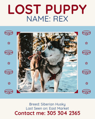 Instagram Post Generator Featuring a Lost Dog Picture