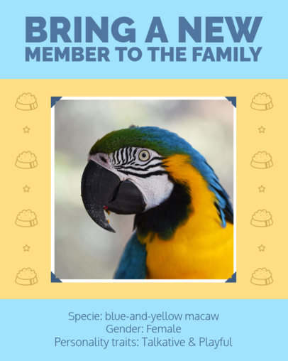 Instagram Post Generator for a Pet Shop's Bird Responsible Adoption 