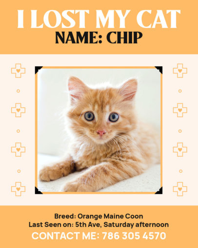 Instagram Post Creator Featuring a Missing Kitten Picture 4751i
