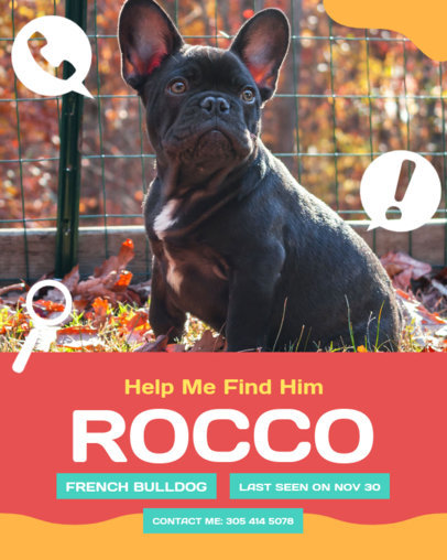 Instagram Post Maker Featuring a Photo of a Missing Dog