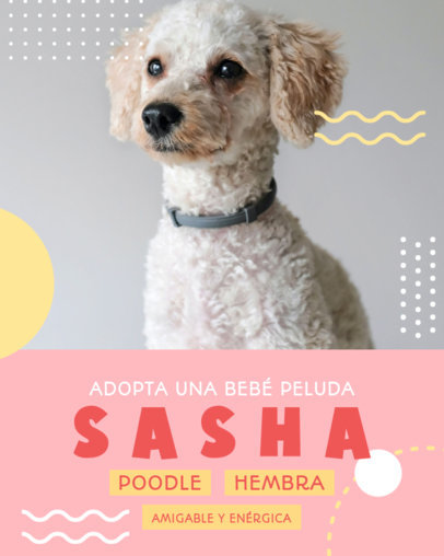 Instagram Post Generator Featuring a Dog Picture for an Animal Adoption Shelter