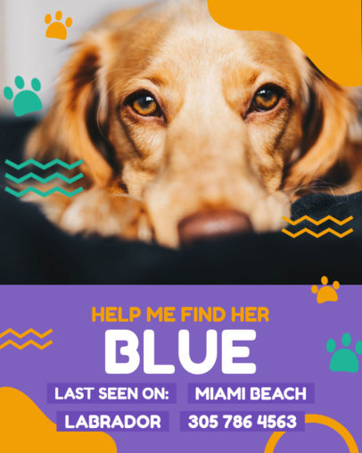 Instagram Post Template Featuring Lost Pet Sign Layout