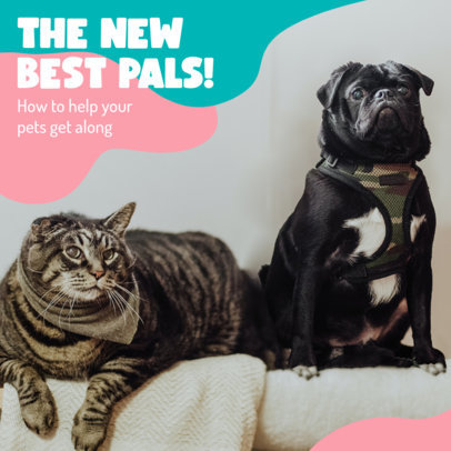 Instagram Post Maker for a Carousel About Pets-Get Along Ideas