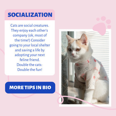 Instagram Post Generator for a Pet Care Tips Carousel Featuring Paws Graphics