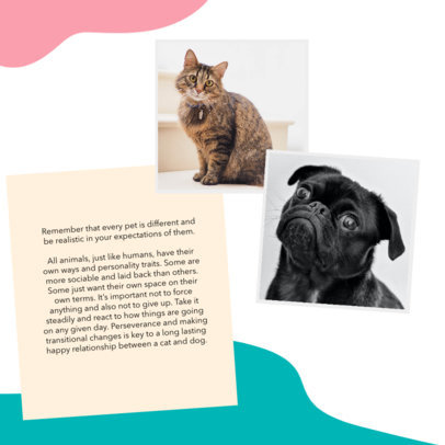 Instagram Post Maker Featuring a Cat and Dog Photo Frames