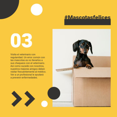 Instagram Post Generator with Vet Advice for Healthy Dogs