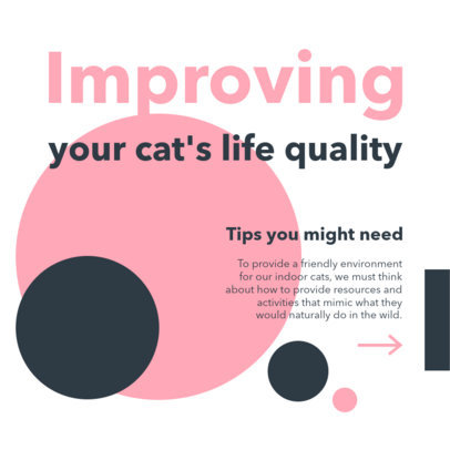 Instagram Post Generator with Tips for New Cat Owners