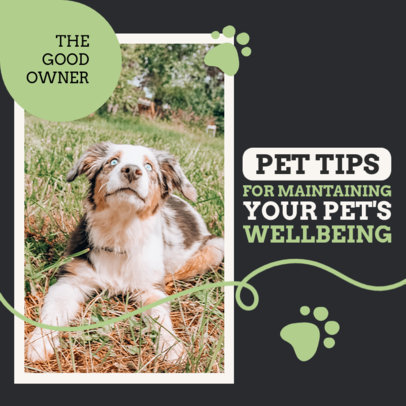 Instagram Post Generator Featuring Wellness Tips for Pet Owners