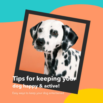 Instagram Post Generator Featuring Tips for Dog Activities