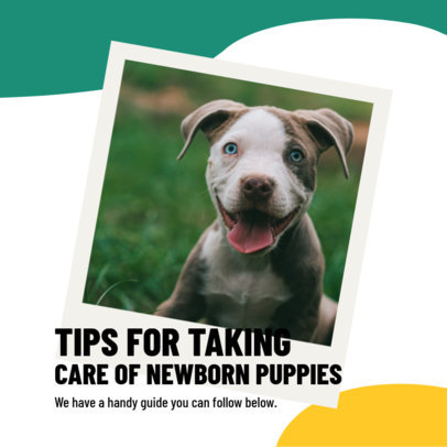 Instagram Post Template Featuring Dog-Care Tips for New Pet Owners