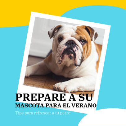 Instagram Post Maker Featuring Summer-Care Advice for Dogs