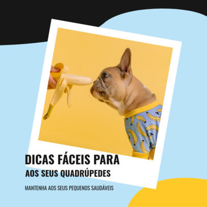 Instagram Post Maker with Healthy Food Ideas for Dogs