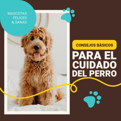 Instagram Post Generator Featuring Basic Tips for Dog Care