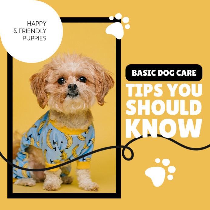 placeit-instagram-post-creator-for-a-basic-dog-care-guide