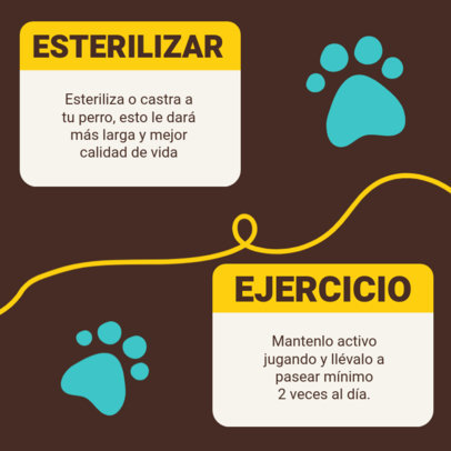 Instagram Post Creator Featuring Paws Graphics for a Pet Care Guide