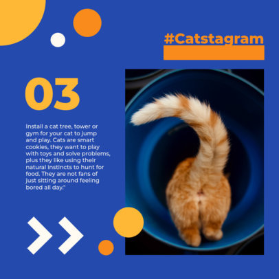 Instagram Post Maker with a Cat Picture Featuring Tips for Owners
