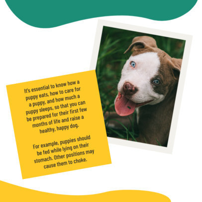 Instagram Post Generator with Healthy Eating Tips for Puppies