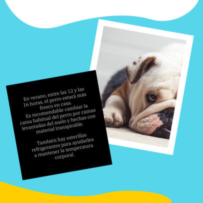 Instagram Post Creator Featuring Advice to Keep Dogs Healthy
