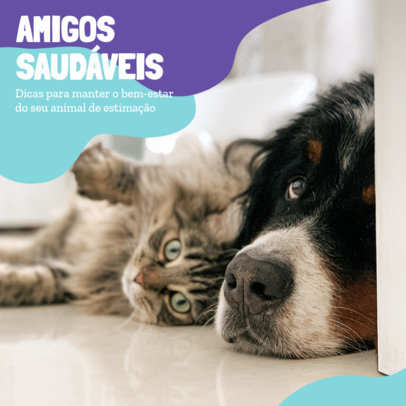 Pets-Themed Instagram Post Template for a Carousel About Healthy Tips