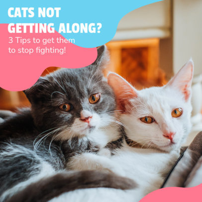 Instagram Post Maker for a Tips' Carousel About Cats 