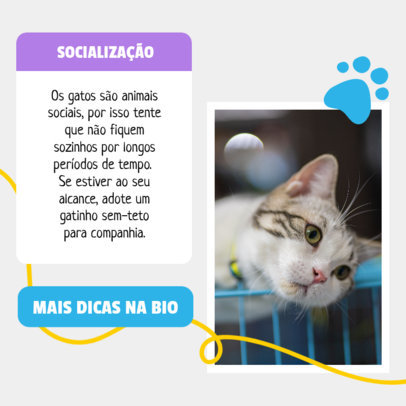 Instagram Post Design Maker with Socializing Tips for Cats