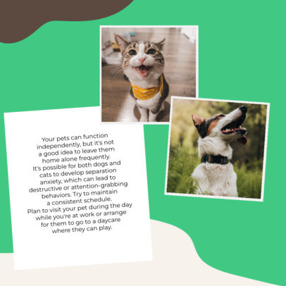 Informative Instagram Post Generator Featuring Photos and Pets Advice