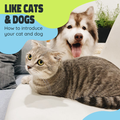 Instagram Post Generator for a Carousel About Cats and Dogs