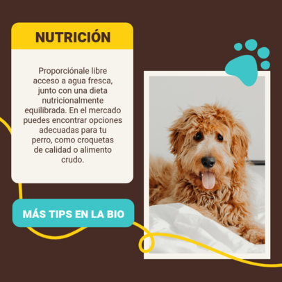 Instagram Post Template with Nutritional Tips for Pets and a Dog Picture