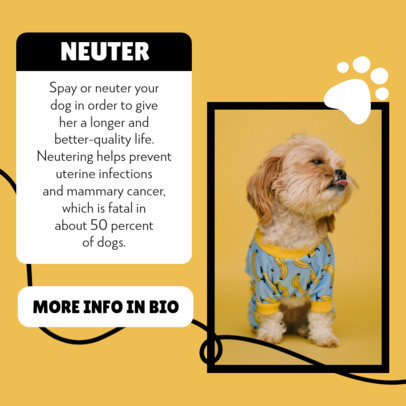 Instagram Post Creator Featuring a Puppy Picture for a Pet Care Guide