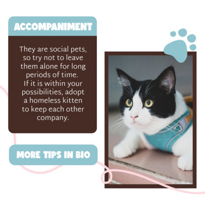 Instagram Post Generator with Basic Tips for Cat Owners