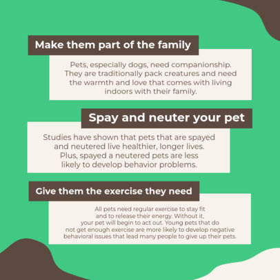 Informative Instagram Post Generator Featuring Pet Owners Recommendations