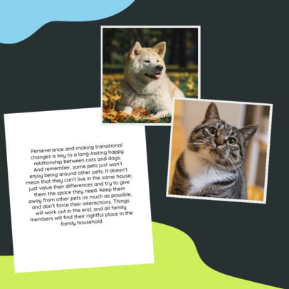 Instagram Post Generator Featuring Informative Tips for Pet Owners