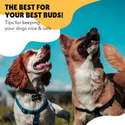 Instagram Post Creator for a Carousel With Dog Safety Tips