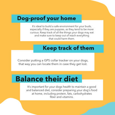 Instagram Post Creator Featuring Healthy Dog Recommendations